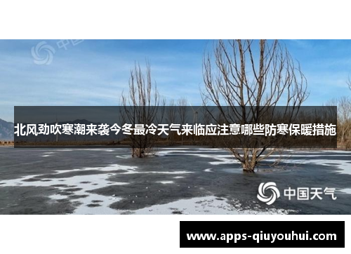北风劲吹寒潮来袭今冬最冷天气来临应注意哪些防寒保暖措施